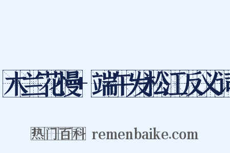 木兰花慢+端午发松江反义词是什么意思的图片